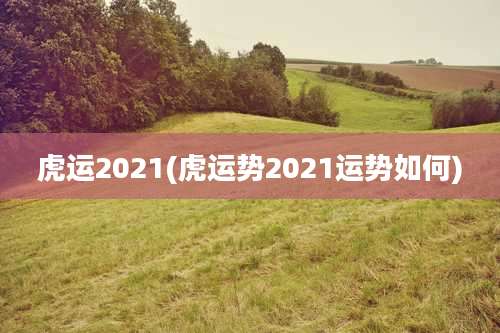 虎运2021(虎运势2021运势如何)