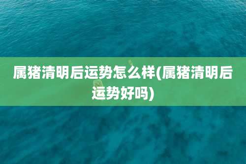 属猪清明后运势怎么样(属猪清明后运势好吗)