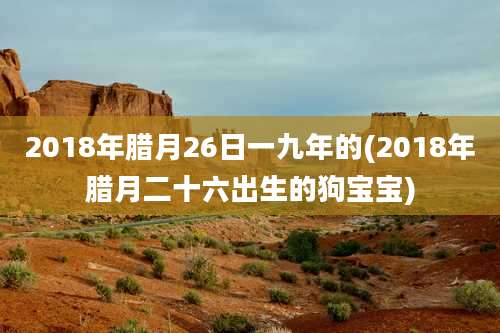 2018年腊月26日一九年的(2018年腊月二十六出生的狗宝宝)