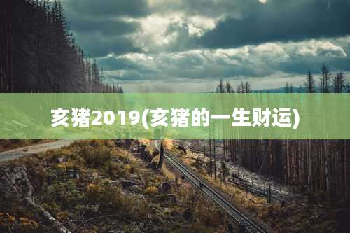 亥猪2019(亥猪的一生财运)