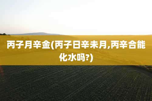 丙子月辛金(丙子日辛未月,丙辛合能化水吗?)