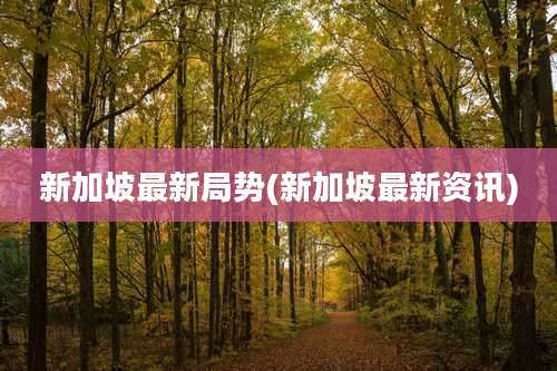 新加坡最新局势(新加坡最新资讯)