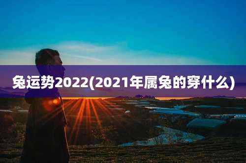 兔运势2022(2021年属兔的穿什么)