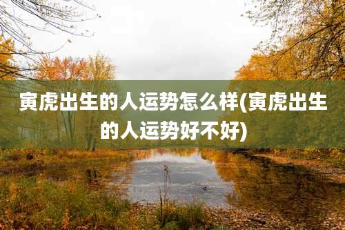 寅虎出生的人运势怎么样(寅虎出生的人运势好不好)