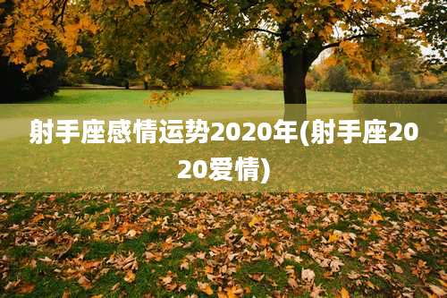 射手座感情运势2020年(射手座2020爱情)