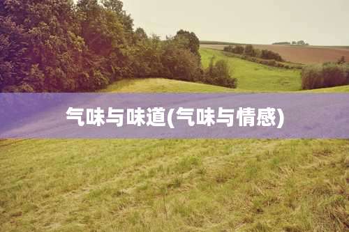 气味与味道(气味与情感)