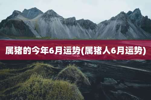 属猪的今年6月运势(属猪人6月运势)