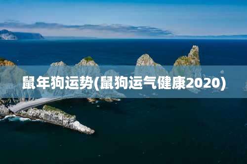 鼠年狗运势(鼠狗运气健康2020)