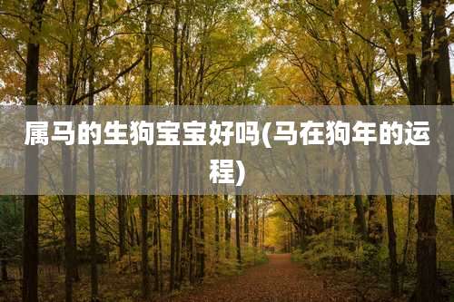 属马的生狗宝宝好吗(马在狗年的运程)