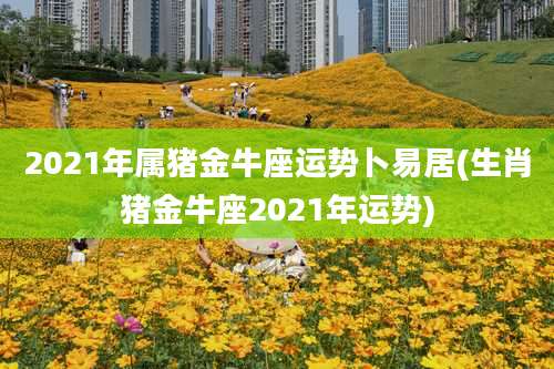 2021年属猪金牛座运势卜易居(生肖猪金牛座2021年运势)