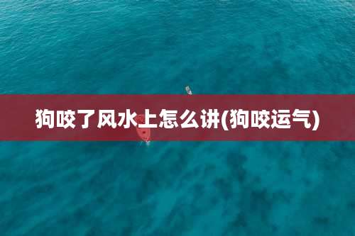 狗咬了风水上怎么讲(狗咬运气)