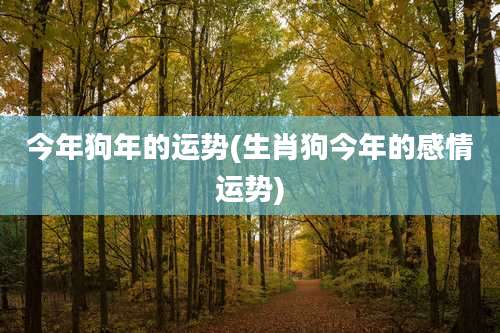 今年狗年的运势(生肖狗今年的感情运势)