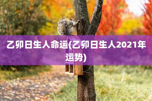 乙卯日生人命运(乙卯日生人2021年运势)