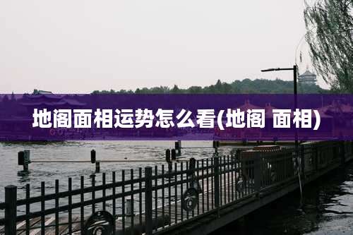 地阁面相运势怎么看(地阁 面相)
