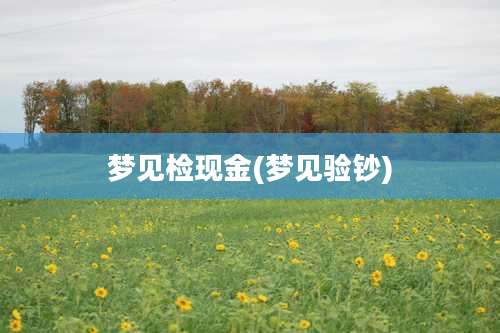 梦见检现金(梦见验钞)