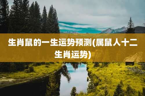 生肖鼠的一生运势预测(属鼠人十二生肖运势)