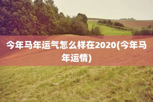今年马年运气怎么样在2020(今年马年运情)