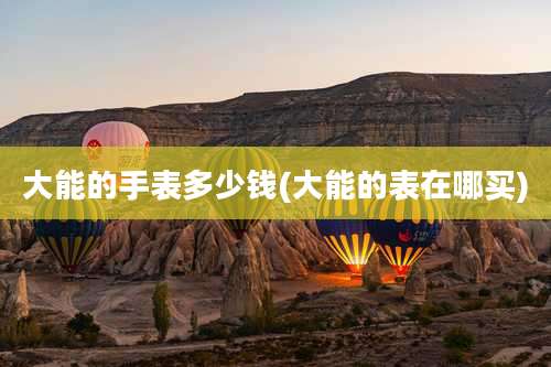 大能的手表多少钱(大能的表在哪买)