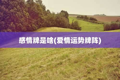 感情牌是啥(爱情运势牌阵)