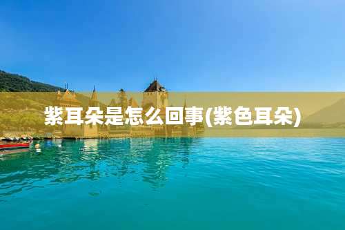 紫耳朵是怎么回事(紫色耳朵)