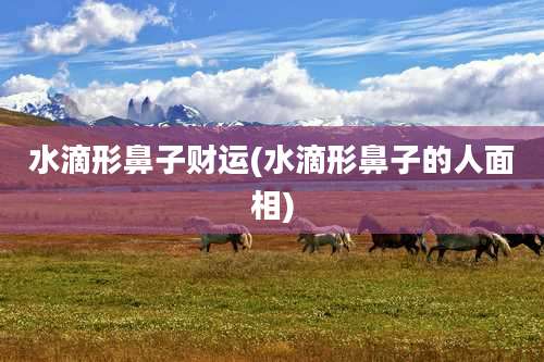 水滴形鼻子财运(水滴形鼻子的人面相)