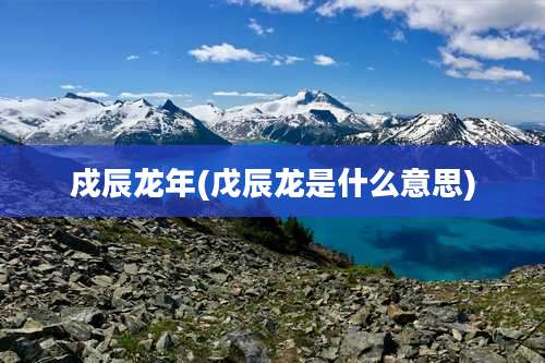 戍辰龙年(戊辰龙是什么意思)