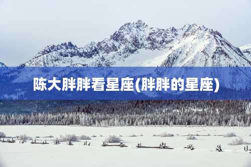 陈大胖胖看星座(胖胖的星座)