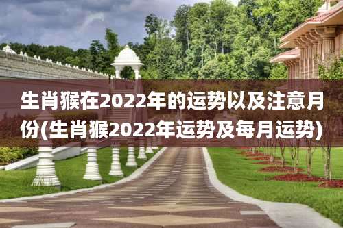 生肖猴在2022年的运势以及注意月份(生肖猴2022年运势及每月运势)