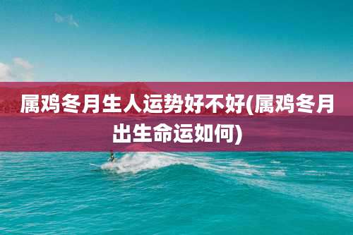 属鸡冬月生人运势好不好(属鸡冬月出生命运如何)