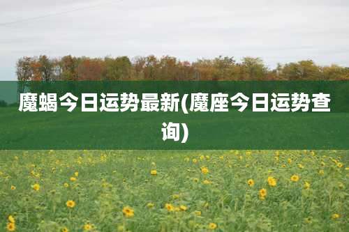 魔蝎今日运势最新(魔座今日运势查询)