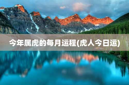 今年属虎的每月运程(虎人今日运)