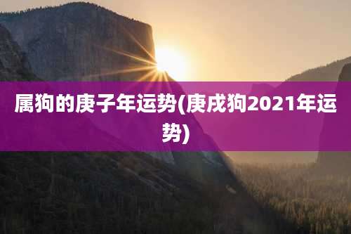 属狗的庚子年运势(庚戌狗2021年运势)
