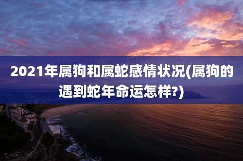 2021年属狗和属蛇感情状况(属狗的遇到蛇年命运怎样?)