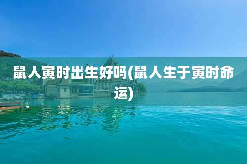 鼠人寅时出生好吗(鼠人生于寅时命运)