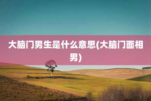 大脑门男生是什么意思(大脑门面相男)