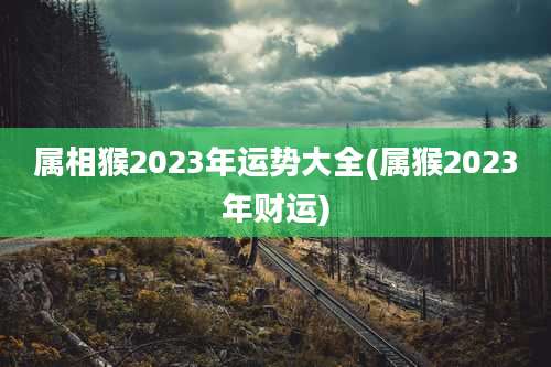 属相猴2023年运势大全(属猴2023年财运)