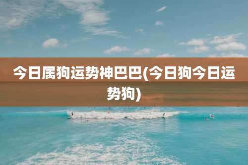 今日属狗运势神巴巴(今日狗今日运势狗)