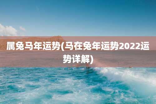 属兔马年运势(马在兔年运势2022运势详解)