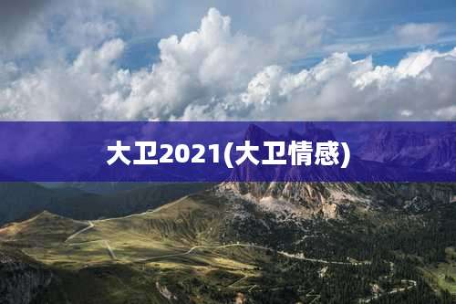 大卫2021(大卫情感)