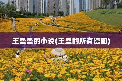 王曼曼的小说(王曼的所有漫画)