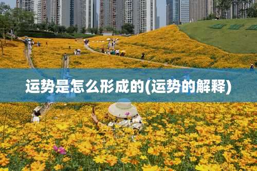 运势是怎么形成的(运势的解释)