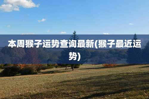 本周猴子运势查询最新(猴子最近运势)