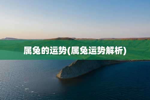 属兔的运势(属兔运势解析)