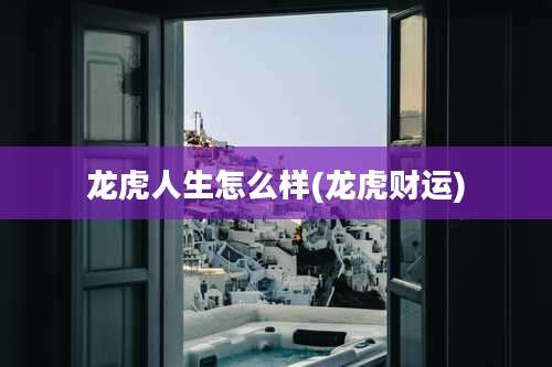 龙虎人生怎么样(龙虎财运)
