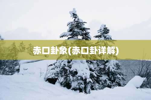 赤口卦象(赤口卦详解)