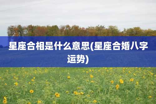 星座合相是什么意思(星座合婚八字运势)