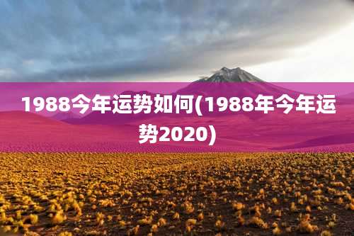 1988今年运势如何(1988年今年运势2020)