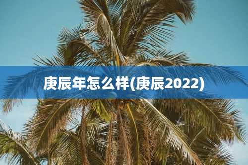 庚辰年怎么样(庚辰2022)