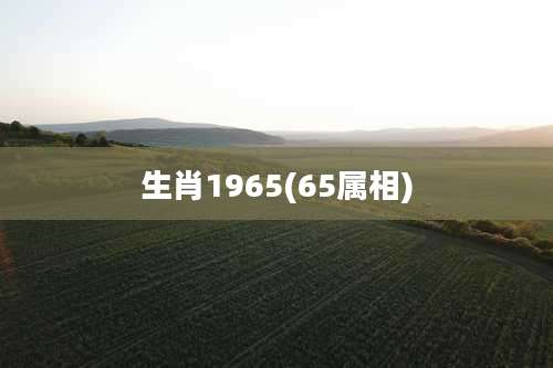 生肖1965(65属相)