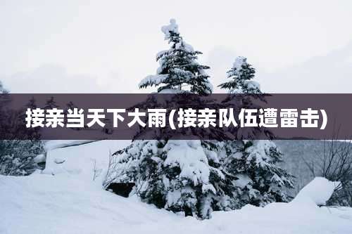 接亲当天下大雨(接亲队伍遭雷击)